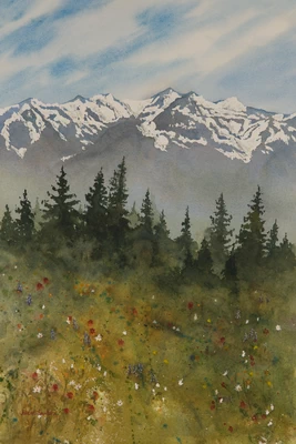 Olympic Meadow