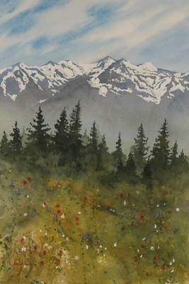 Olympic Meadow