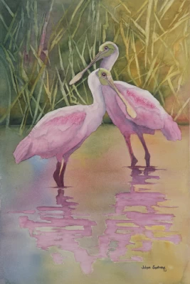 Spoonbills