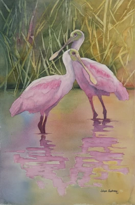 Spoonbills