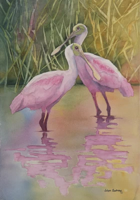 Spoonbills